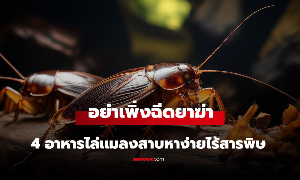อย่าเพิ่งฉีดยาฆ่า! ลองวาง 4 อาหารนี้ไว้ 