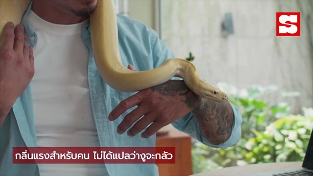 5 ต้นไม้ที่มักถูกกล่าวถึงว่าช่วยไล่งู