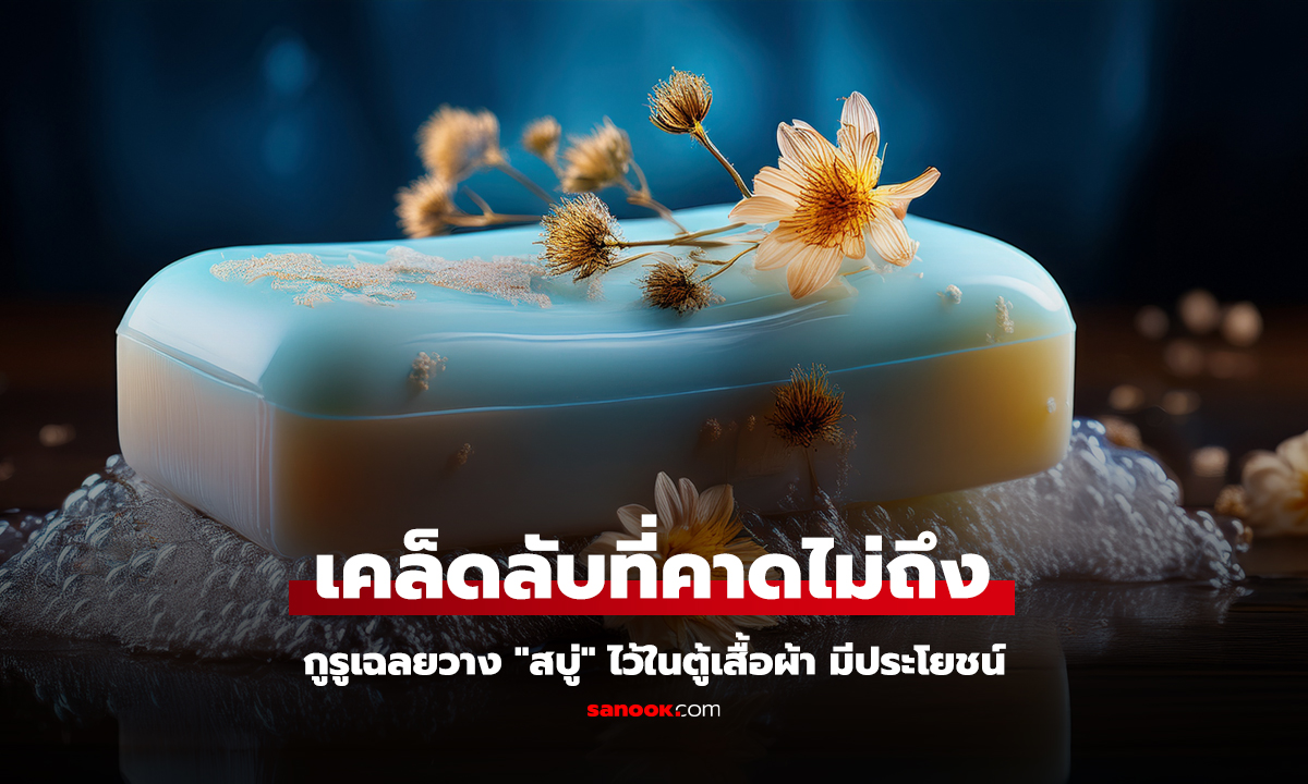 ทำไมหลายบ้านชอบวาง “สบู่ก้อนใหม่” ไว้ในตู้เสื้อผ้า?