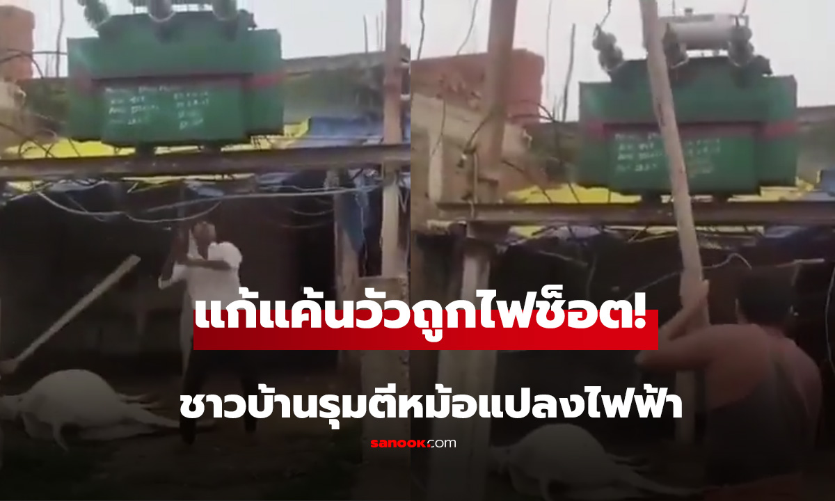 แก้แค้นวัวถูกไฟช็อต! ชาวบ้านรุมตีหม้อแปลงไฟฟ้า
