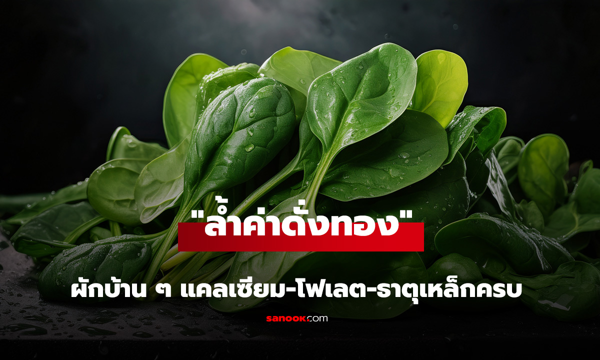 ผักบ้านๆ ที่คนจีนมองว่า 