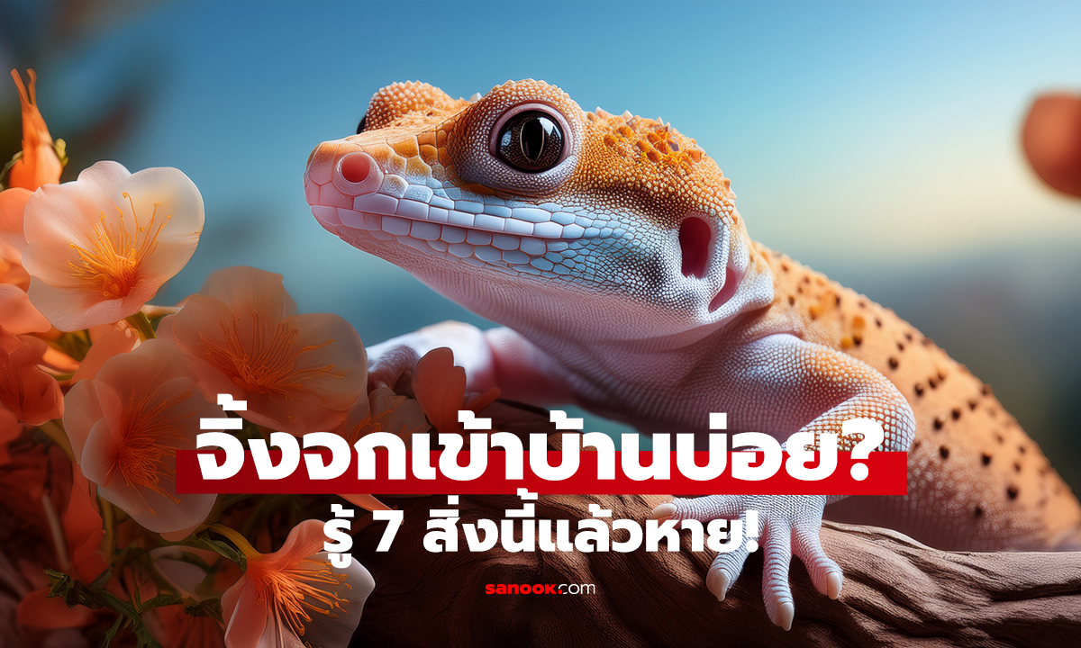 7 สิ่งที่จิ้งจกไม่ชอบ ไล่ออกจากบ้านง่ายๆ