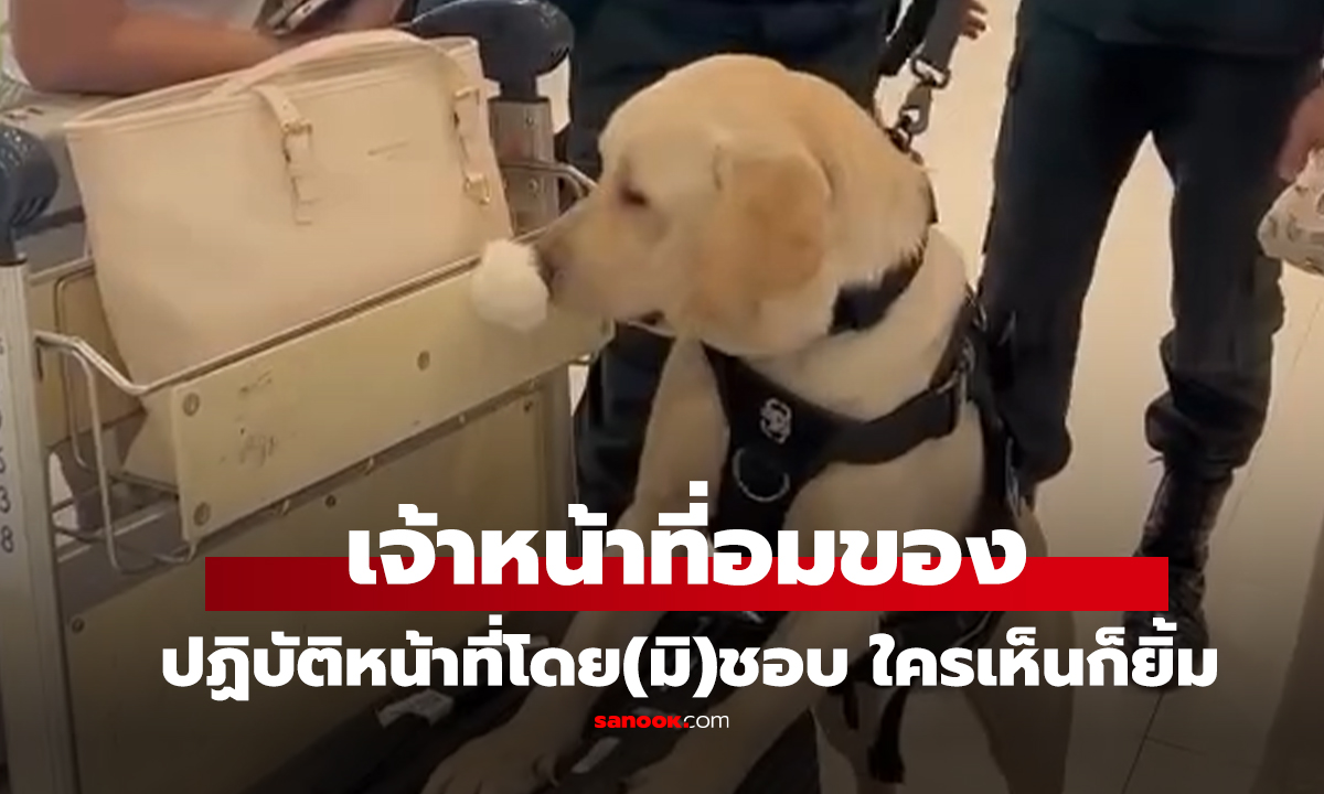 คลิป 