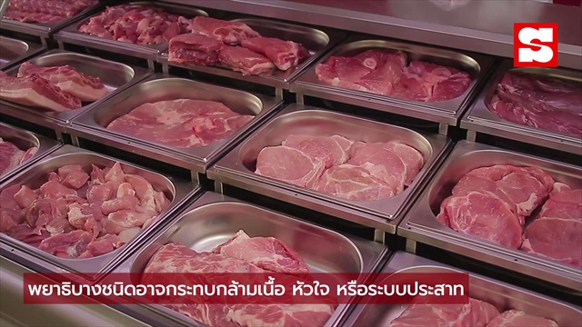 ทำไมหมูต้องกินสุกเท่านั้น? กูรูเตือน 2 พยาธิอันตราย เสี่ยงขึ้นสมอง-ทำตาบอดได้