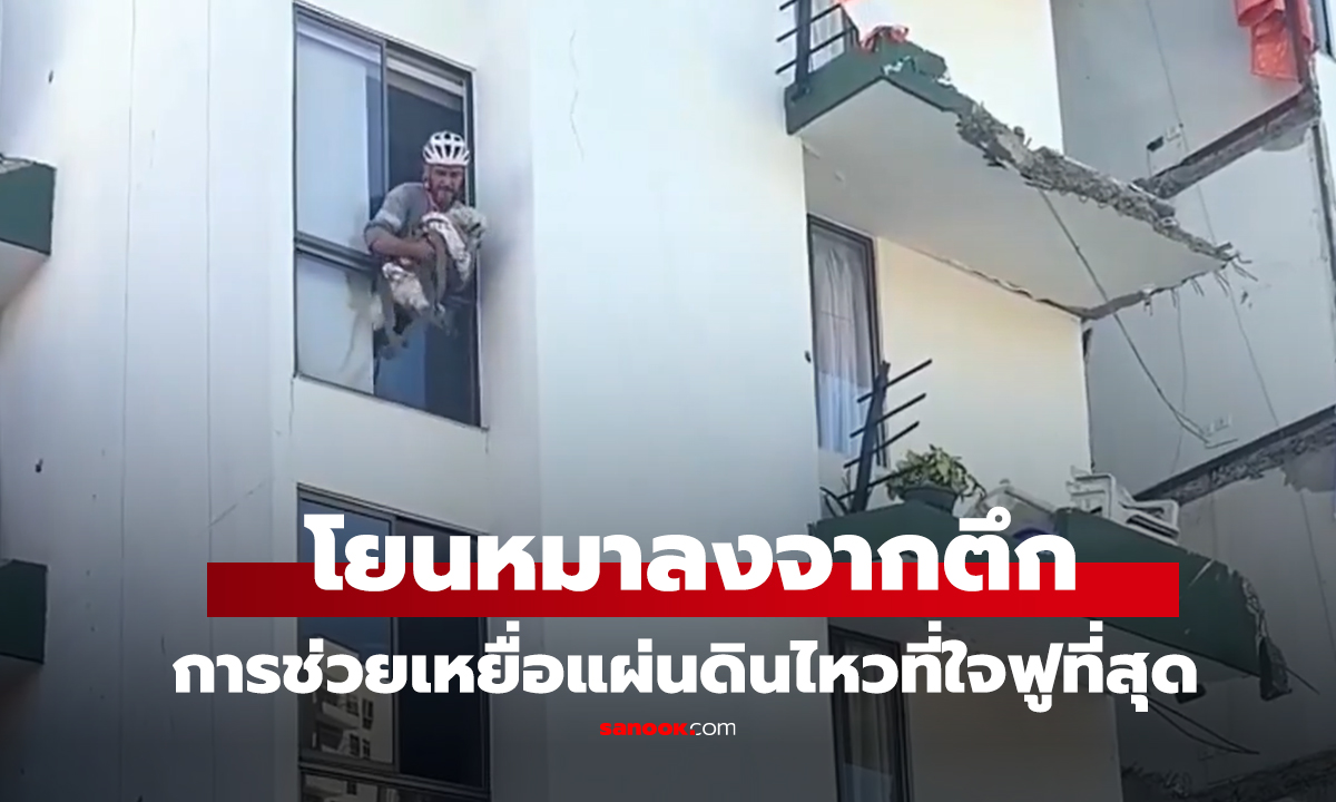 คลิป โยนหมาลงจากตึก ไวรัลสุดอบอุ่น กู้ภัย-ชาวเมืองผนึกกำลังเซฟชีวิต 