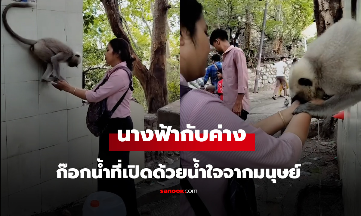 นางฟ้ากับค่างก๊อกน้ำที่เปิดด้วยน้ำใจจากมนุษย์. mp4
