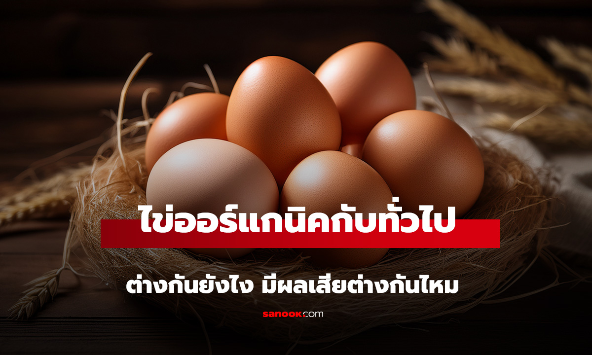 ไข่ไก่ออร์แกนิค กับ ไข่ไก่ทั่วไป ต่างกันยังไง ส่องประโยชน์