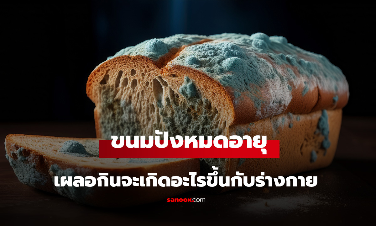 ขนมปังหมดอายุ กินต่อได้ไหม? เผลอกินขนมปังขึ้นรา จะเกิดอะไรขึ้นกับร่างกาย