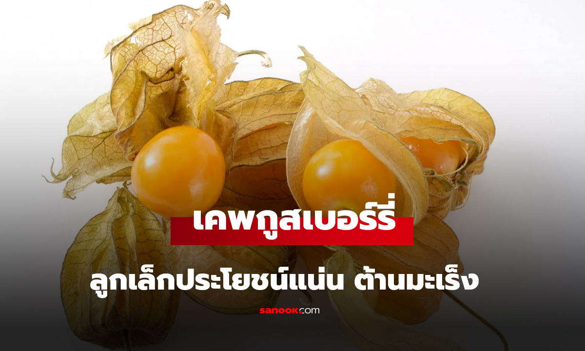 รู้จักผลไม้ 