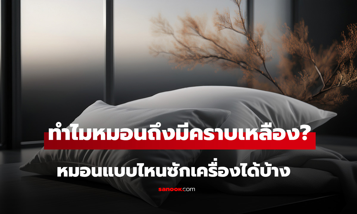 ทำไมหมอนถึงมีคราบเหลือง? ผู้ผลิตเฉลย หมอนแบบไหนซักเครื่องได้-ห้ามซักน้ำ