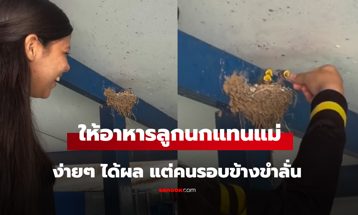 เทคนิคให้อาหารลูกนกวิธีง่ายๆ ได้ผล แต่คนดูขำจะขิต