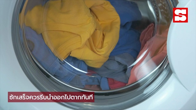 กูรูเผยสาเหตุ ซักแล้วแต่ 
