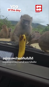 คลิป 