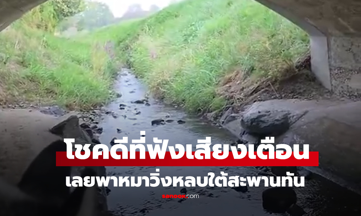คลิป คลิปเฉียดตายที่ 