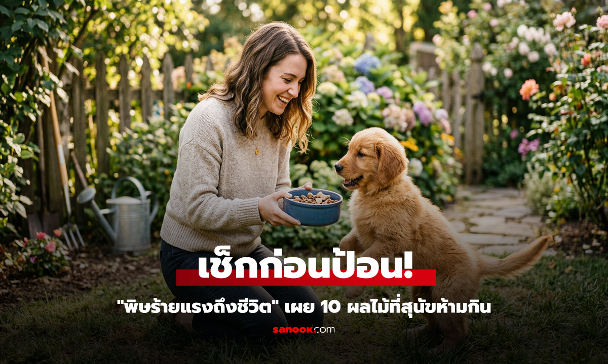 เช็กก่อนป้อน! สุนัขห้ามกินผลไม้อะไรบ้าง