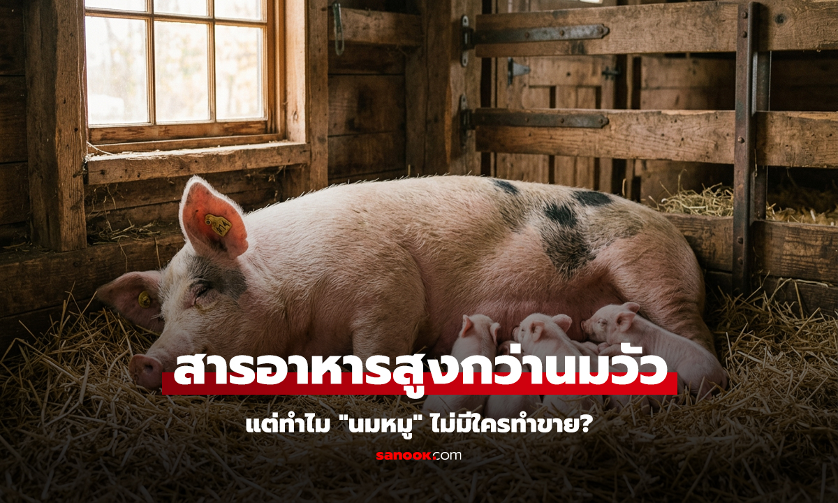สารอาหารสูงกว่านมวัว