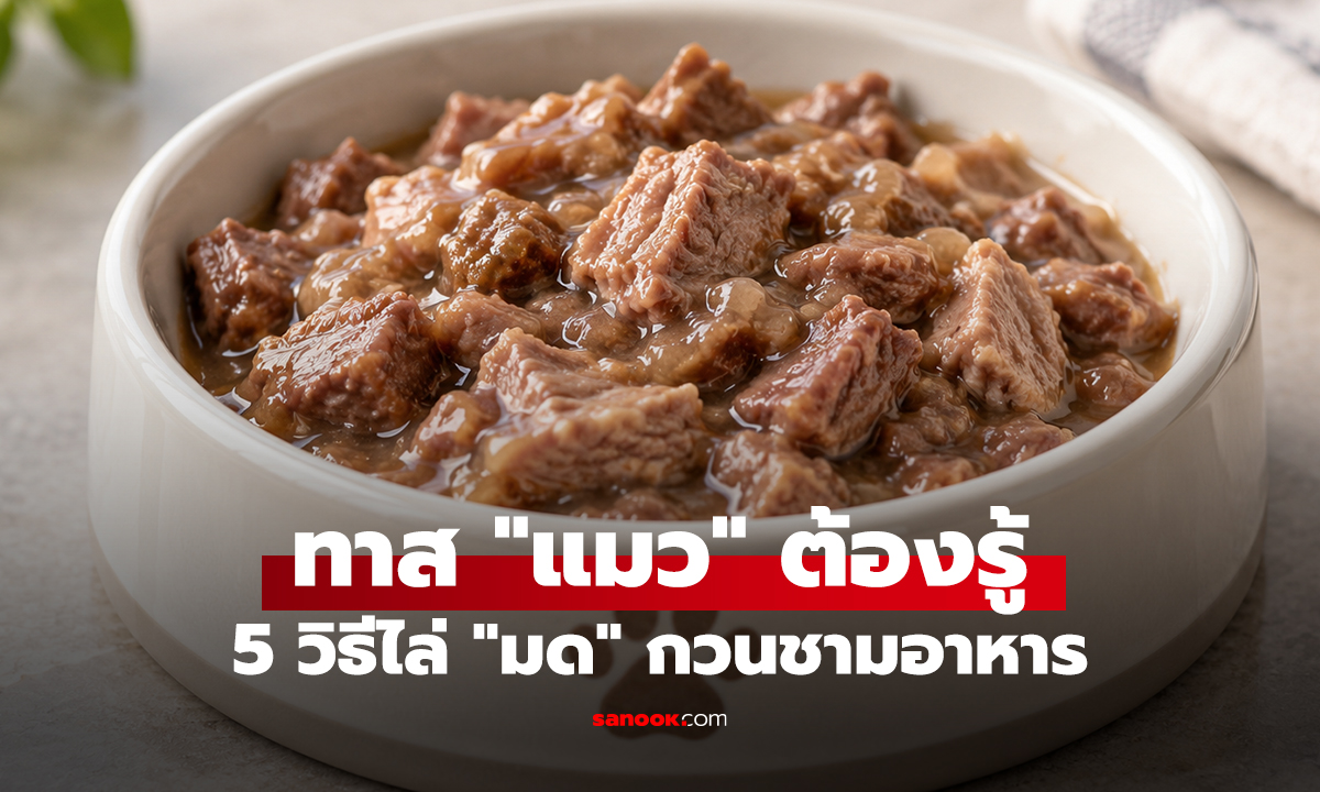 ทาส 