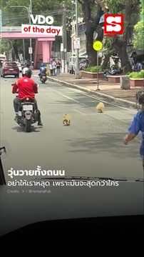 วุ่นวายทั้งถนน สนุกกันอยู่สองตัว!