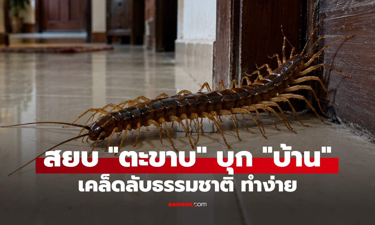 สยบ 