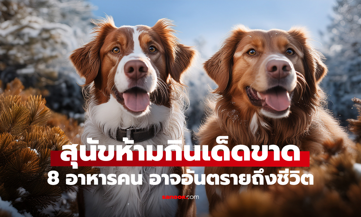 8 อาหารคน สุนัขห้ามกินเด็ดขาด