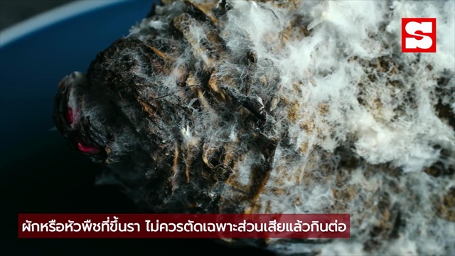 3 ผักที่ตับ “ไม่ชอบ” กินบ่อยอาจเพิ่มภาระให้ตับ