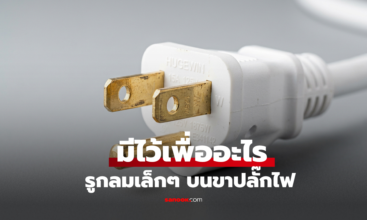 รูกลมเล็กๆ บนขาปลั๊กไฟ มีไว้เพื่ออะไร? เฉลยแล้ว รู้ไว้อาจเซฟชีวิตได้!