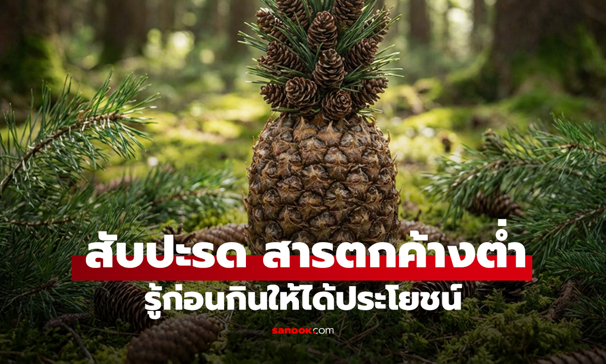 คลิป 