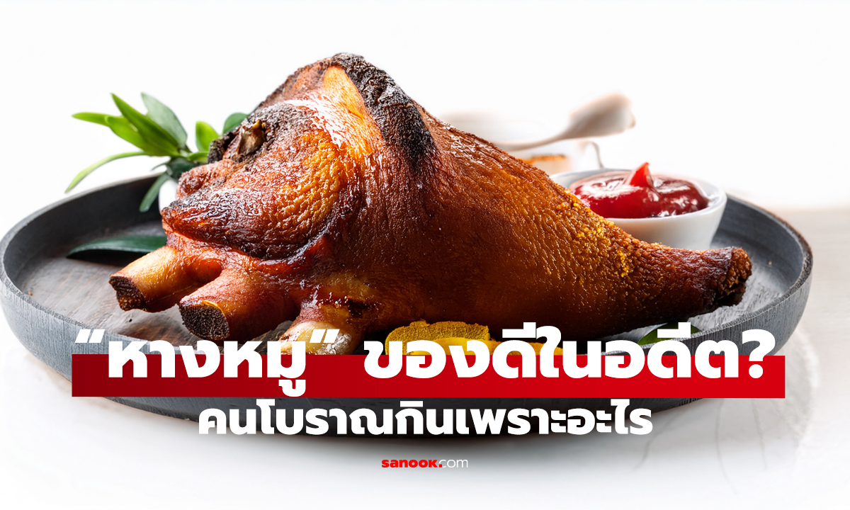 ทำไมคนสมัยก่อนชอบกิน “หางหมู”? เชื่อว่าบำรุงกระดูก-ข้อ แต่ความจริงไม่ใช่คอลลาเจน!