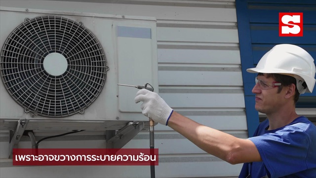 ฝนตกหนัก ควรหาอะไรมาคลุม 