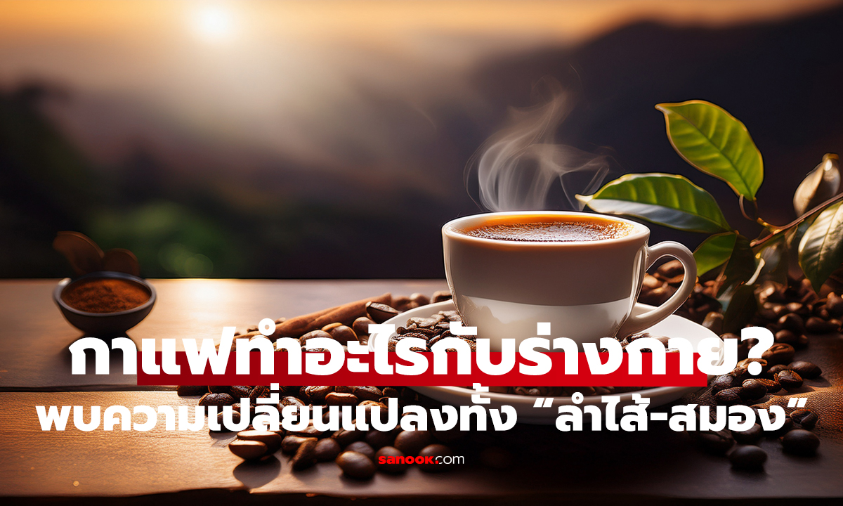 กาแฟไม่ได้กระทบแค่สมอง! งานวิจัยพบความเปลี่ยนแปลงในลำไส้ น่าสนใจกว่าที่คิด