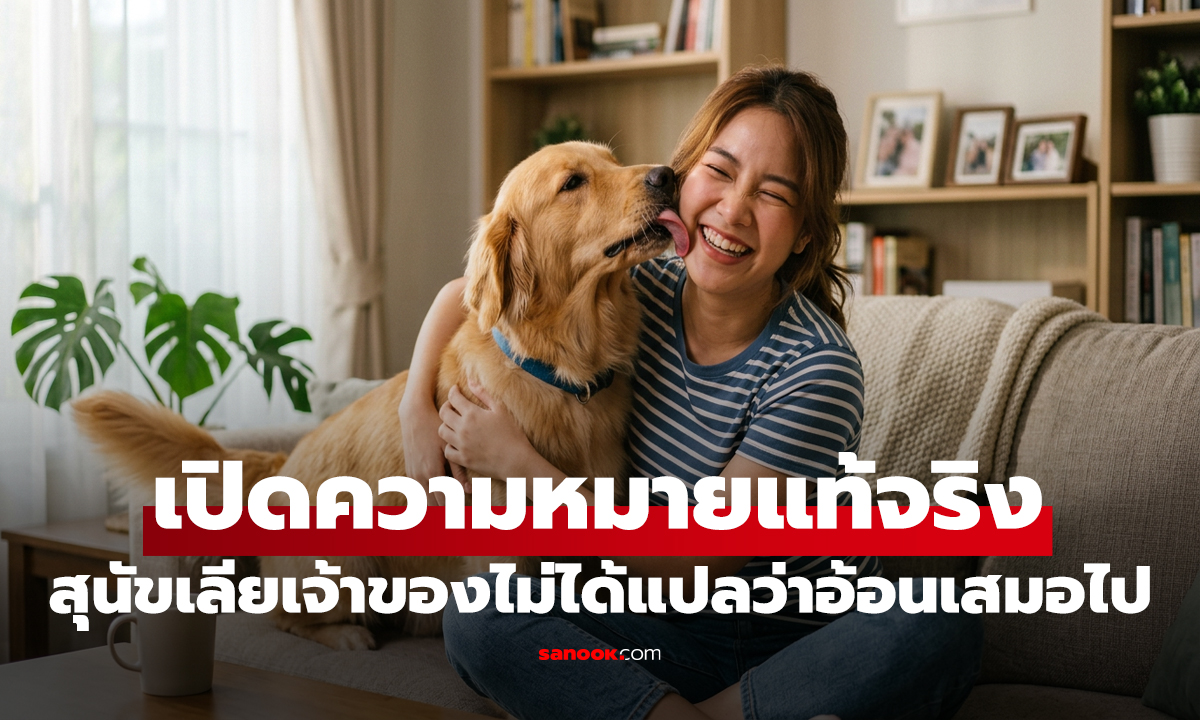 สุนัขเลียเจ้าของไม่ได้แปลว่าอ้อนเสมอไป เปิดความหมายแท้จริง ที่หลายคนเข้าใจผิด