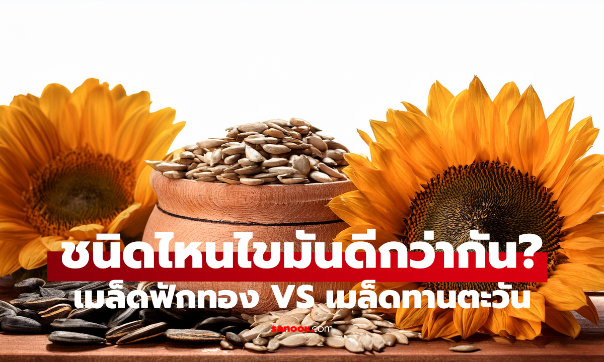 เมล็ดฟักทอง VS ทานตะวัน ศึก “ไขมันดี” ใครชนะ? รู้แล้วเลือกกินได้ถูก!