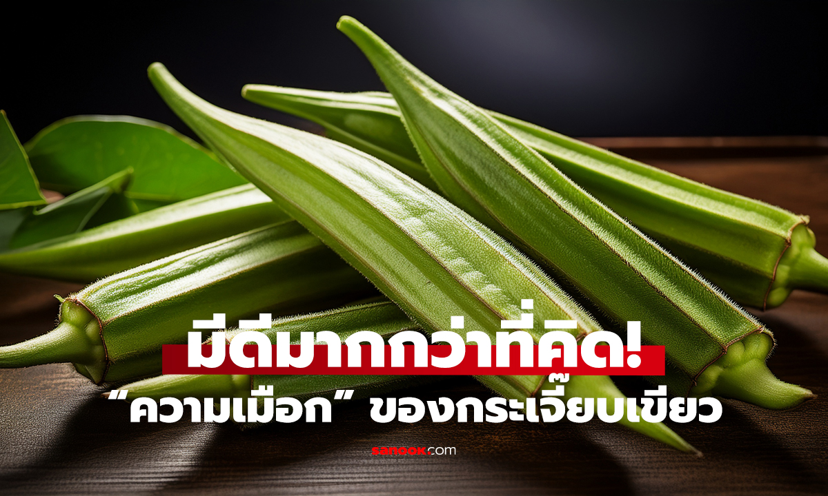 กระเจี๊ยบเขียว ผักบ้านๆ 7 ประโยชน์ที่หลายคนอาจไม่รู้!