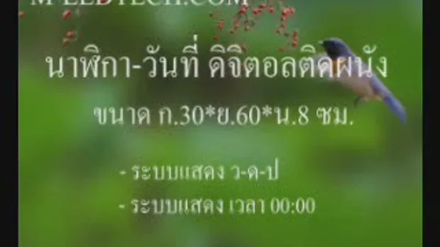 นาฬิกาติดผนัง