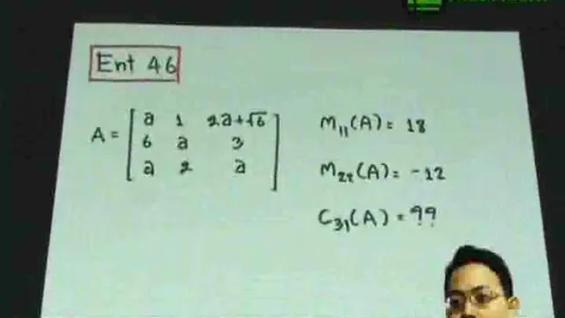 Ent46ไมเนอร์และโคแฟคเตอร์