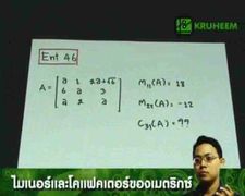 Ent46ไมเนอร์และโคแฟคเตอร์