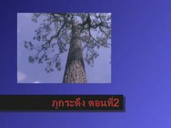 ภูกระดึง-ตอนที่2