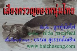 เสียงครวญของหนุ่มไทย