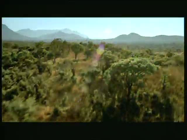 PEPSI FOOTBALL 2010