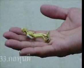 มายากลหุ่นผี อ.สมศักดิ์