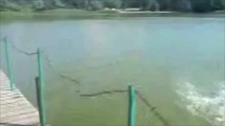 Best of FAILS 2010