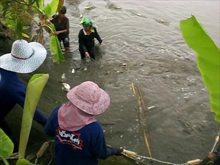 5ลุงสันติบ่อปลาธรรมชาติ