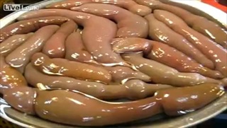 ปลา Penis fish ช่วยเสริมสมรรถภาพทางเพศ