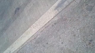 คลิปภาพสยอง รายวัน