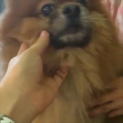 IG Malisa Cheewapan 21