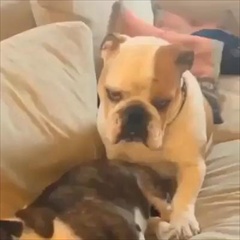 หน้าคุณ..เมื่อแฟนไม่มีอารมณ์ร่วม