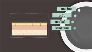 คลิปอ๊อด อ๊อด : สารพัดแร่ธาตุใน โคลน