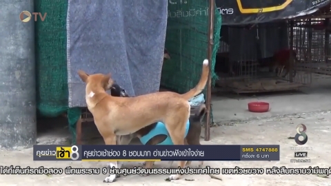 ข่าวช่อง 8 l 23 พ.ย.59