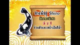 กระบี่มือหนึ่ง : ศัลยกรรมปลาคาร์ฟ (18 มี.ค.56)