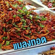 สุดยอด อาหาร streetfood ของไทย ถ้าไม่มีเสียดายแย่